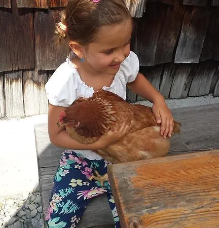 Apartment Aineckblick